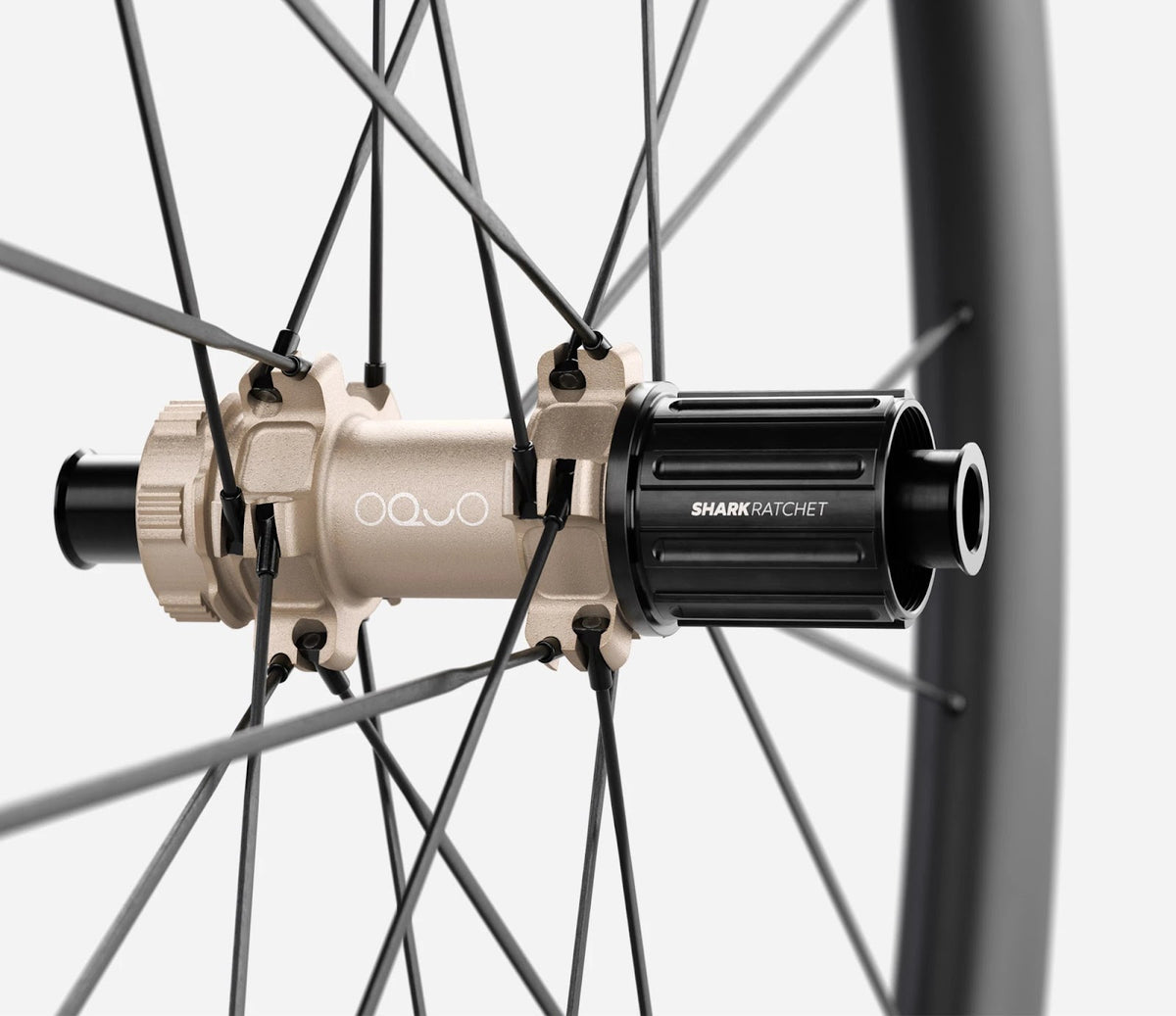 O1870015