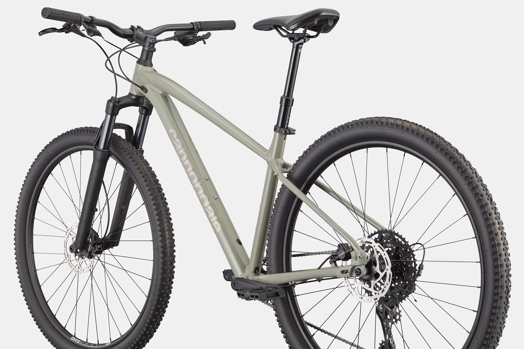 Trail 1 Cannondale 2025 Tiger Shark #3