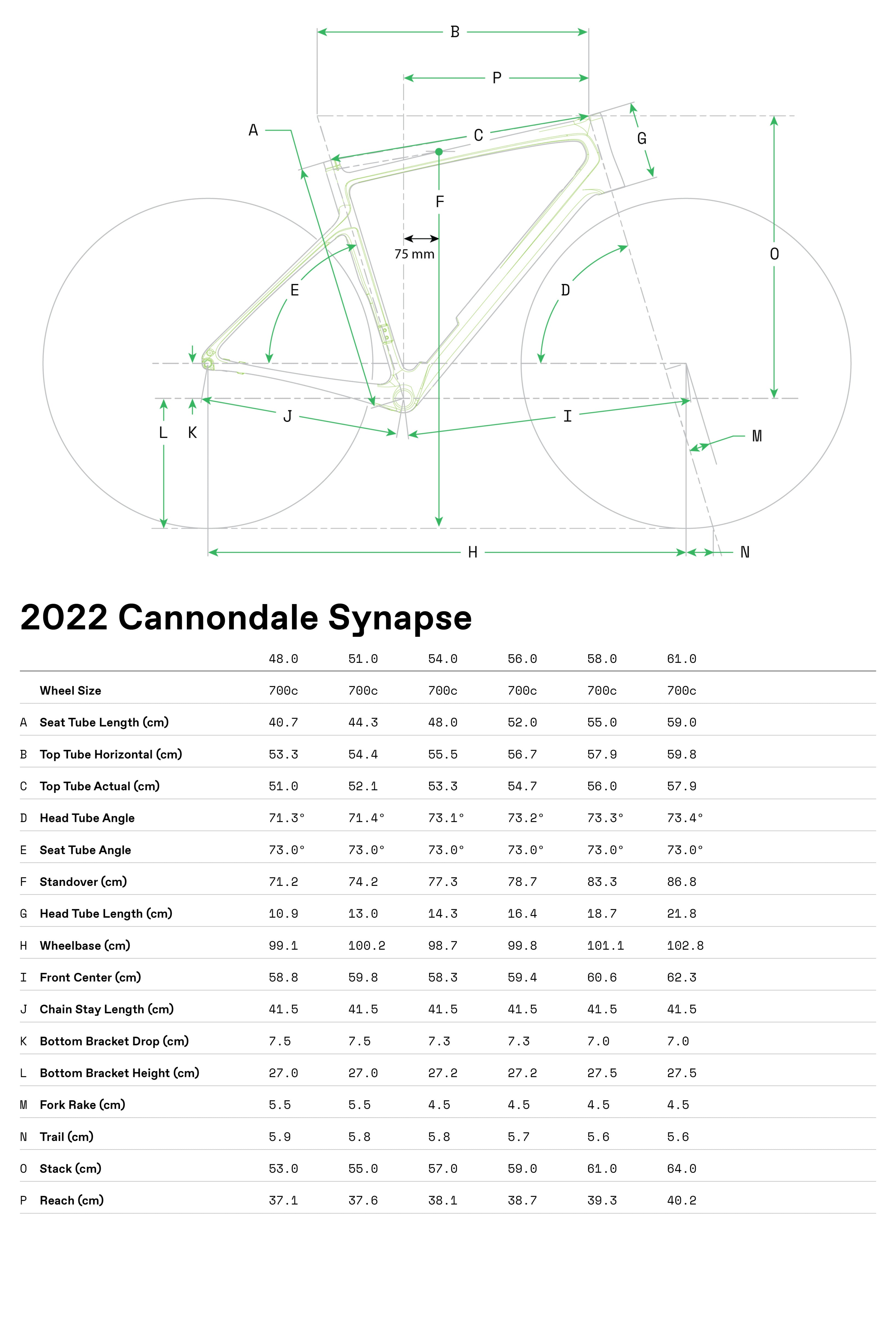 Synapse Carbon 2 RLE Cannondale 2024 Grey #8