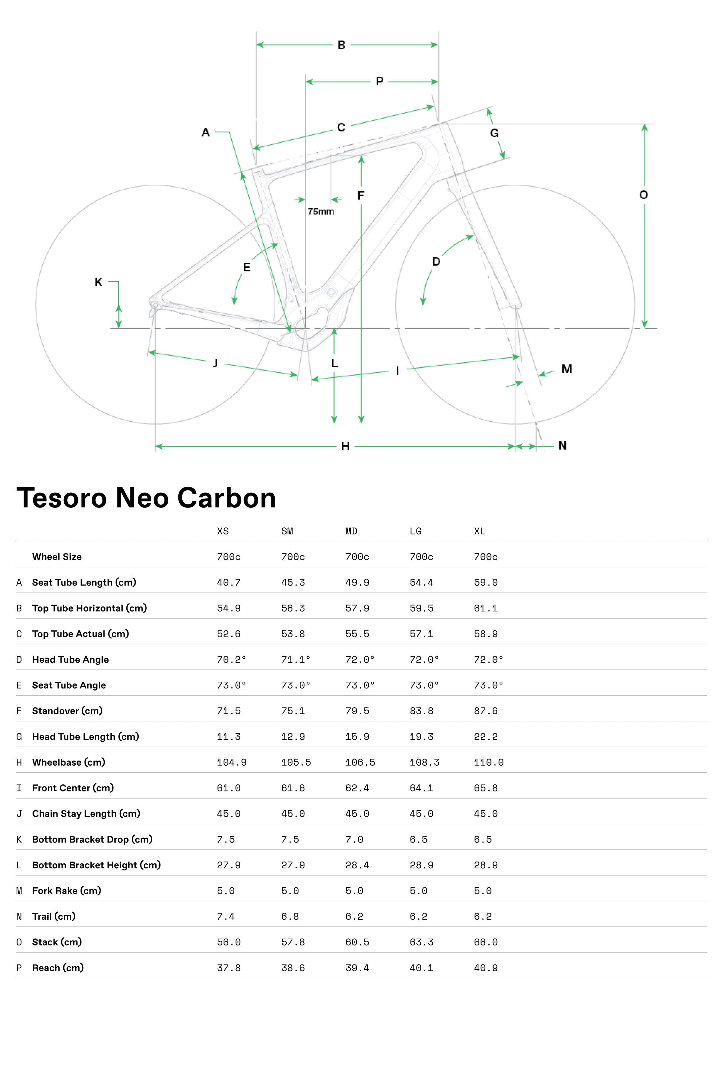 Tesoro Neo Carbon 2 Cannondale 2024 Storm Cloud #3
