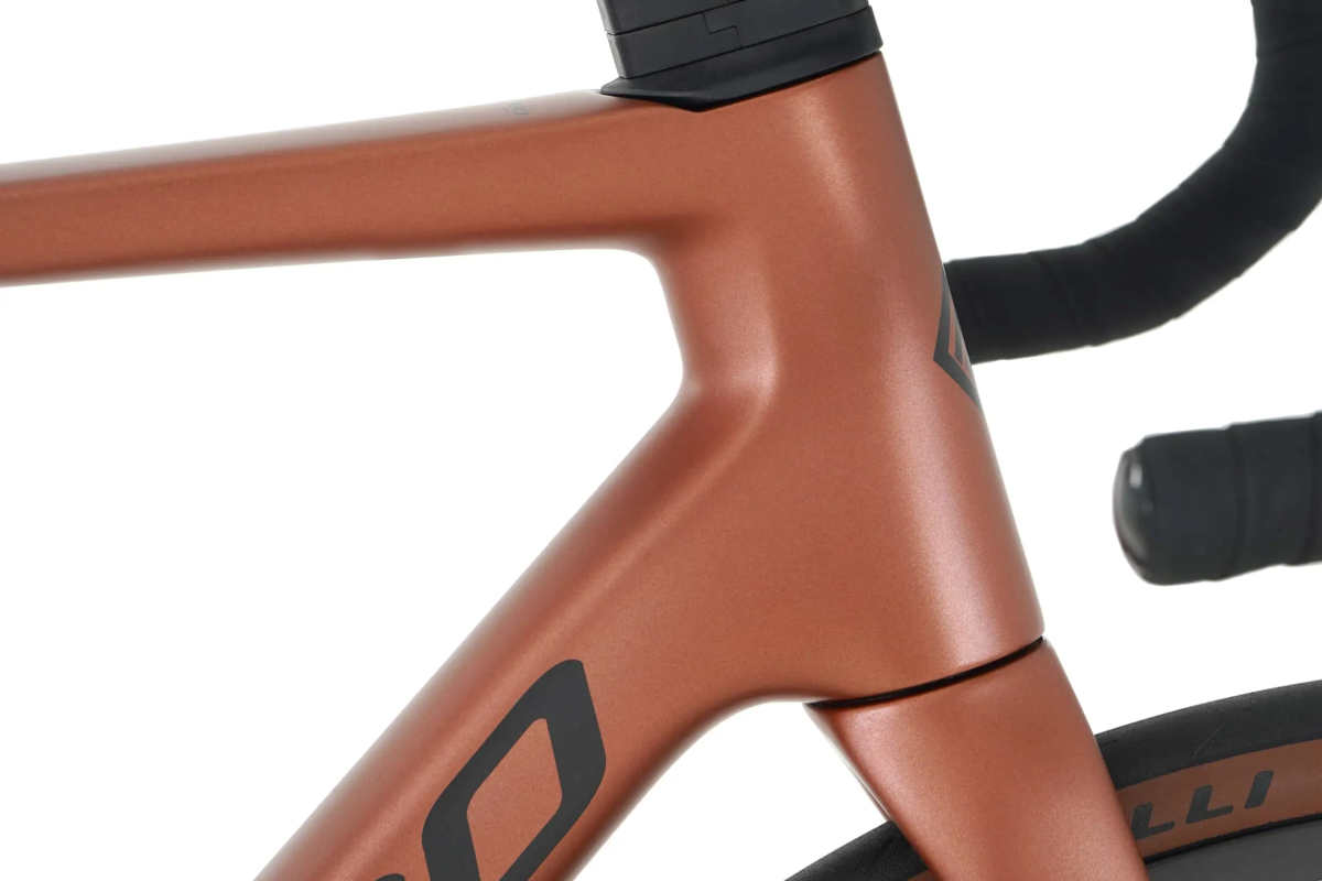 Megamo Raise 05 2026 Brown #2