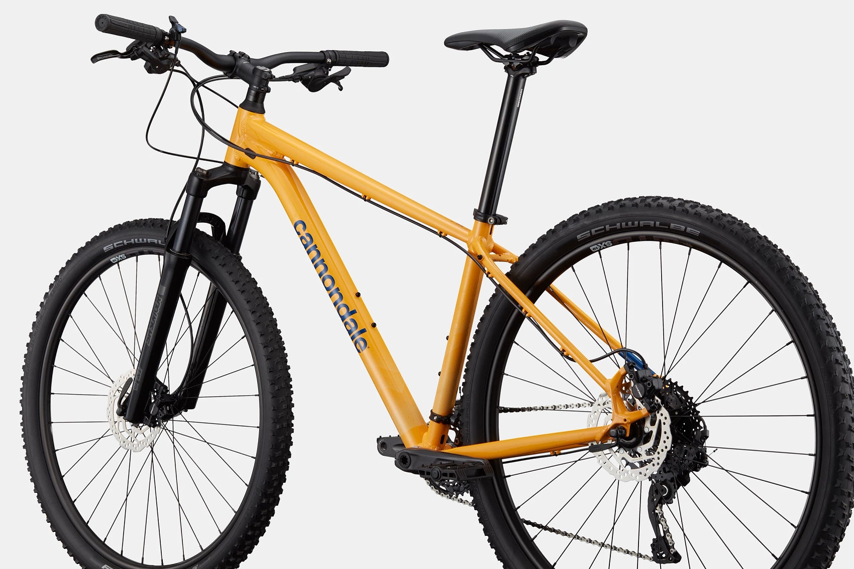 Trail 5 Cannondale 2024 Mango #3