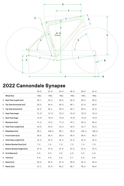 Synapse Carbon 2 RLE Cannondale 2024 Cool Mint #8