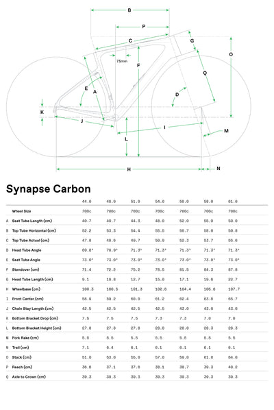 Synapse Carbon 4 Cannondale 2025 Metallic Red #8